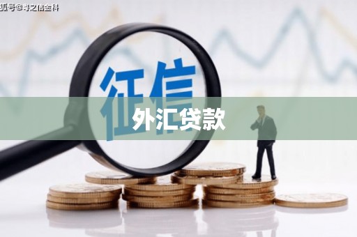 呼和浩特外汇贷款