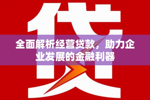 呼和浩特全面解析经营贷款，助力企业发展的金融利器