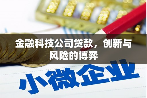 呼和浩特金融科技公司贷款，创新与风险的博弈