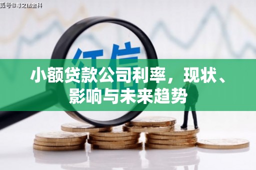 呼和浩特小额贷款公司利率，现状、影响与未来趋势