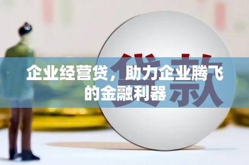 呼和浩特企业经营贷，助力企业腾飞的金融利器