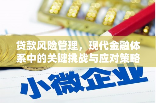呼和浩特贷款风险管理，现代金融体系中的关键挑战与应对策略