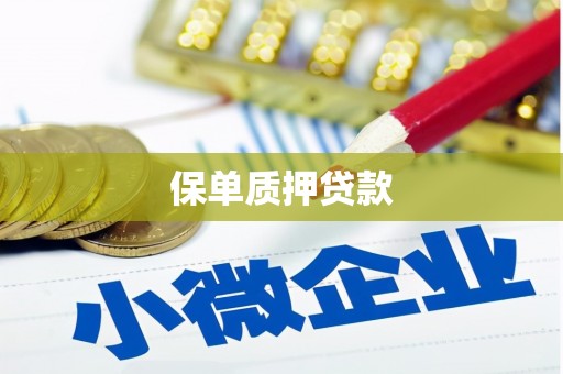 呼和浩特保单质押贷款