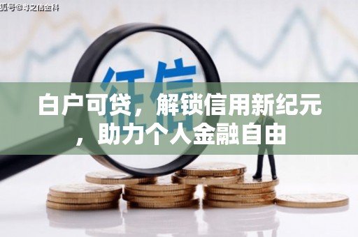 呼和浩特白户可贷，解锁信用新纪元，助力个人金融自由