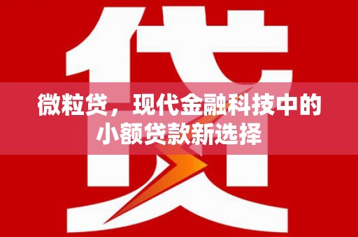 呼和浩特微粒贷，现代金融科技中的小额贷款新选择