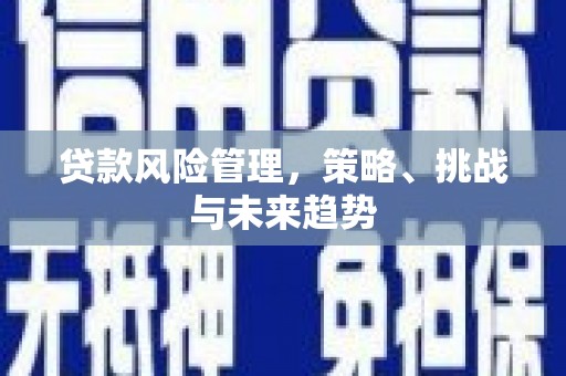 呼和浩特贷款风险管理，策略、挑战与未来趋势