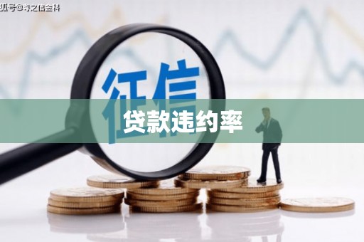 呼和浩特贷款违约率