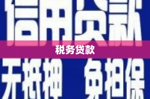 呼和浩特税务贷款