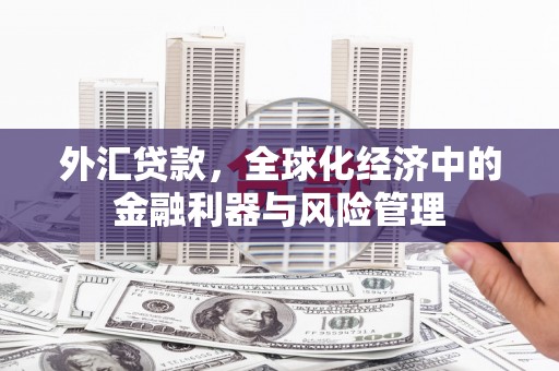 呼和浩特外汇贷款，全球化经济中的金融利器与风险管理