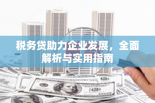 呼和浩特税务贷助力企业发展，全面解析与实用指南