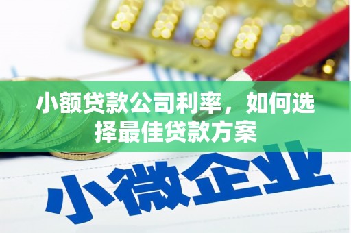 呼和浩特小额贷款公司利率，如何选择最佳贷款方案