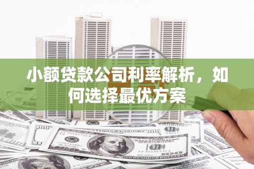 呼和浩特小额贷款公司利率解析，如何选择最优方案