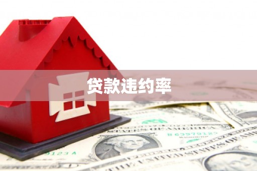 呼和浩特贷款违约率