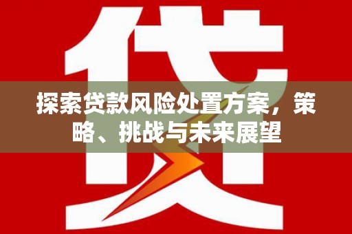呼和浩特探索贷款风险处置方案，策略、挑战与未来展望