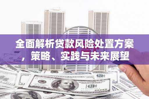 呼和浩特全面解析贷款风险处置方案，策略、实践与未来展望