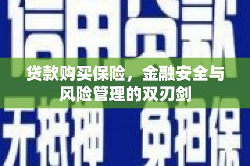 呼和浩特贷款购买保险，金融安全与风险管理的双刃剑