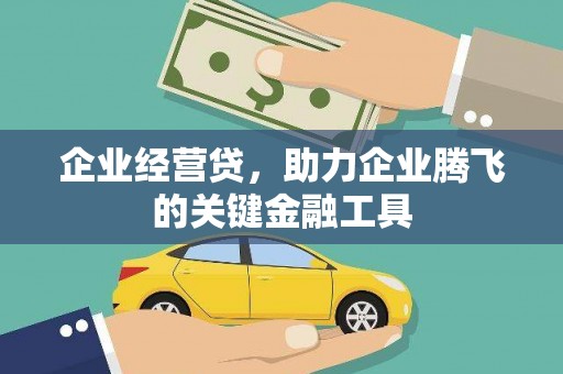 呼和浩特企业经营贷，助力企业腾飞的关键金融工具