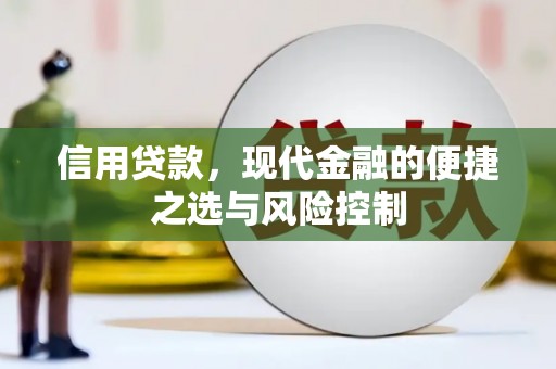 呼和浩特信用贷款，现代金融的便捷之选与风险控制