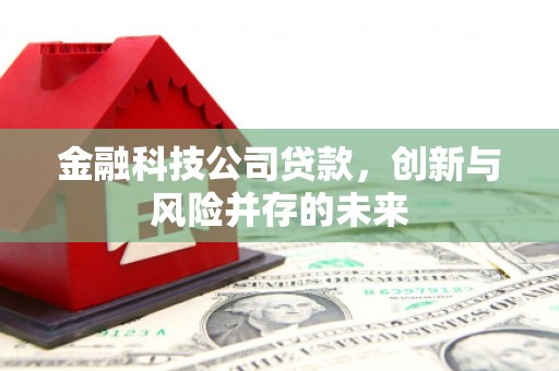呼和浩特金融科技公司贷款，创新与风险并存的未来