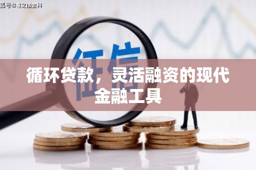 呼和浩特循环贷款，灵活融资的现代金融工具