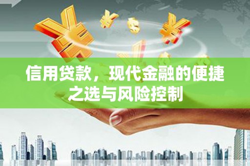 呼和浩特信用贷款，现代金融的便捷之选与风险控制