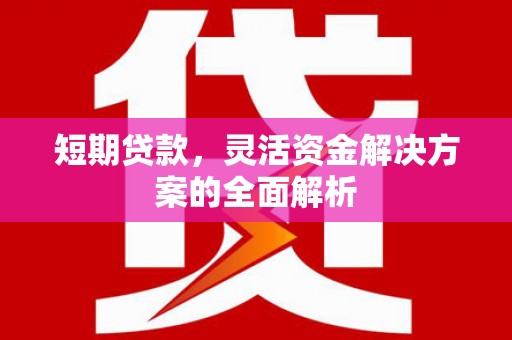 呼和浩特短期贷款，灵活资金解决方案的全面解析