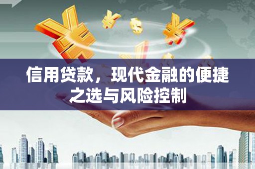 呼和浩特信用贷款，现代金融的便捷之选与风险控制