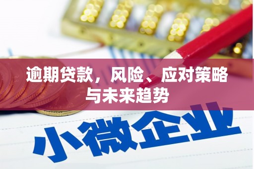 呼和浩特逾期贷款，风险、应对策略与未来趋势