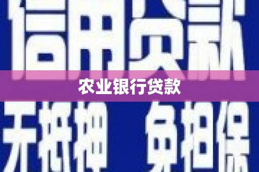 呼和浩特农业银行贷款