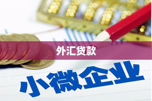 呼和浩特外汇贷款