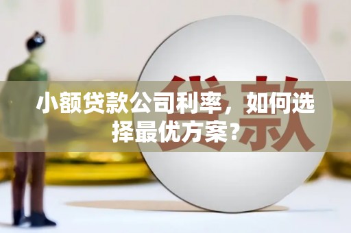 呼和浩特小额贷款公司利率，如何选择最优方案？