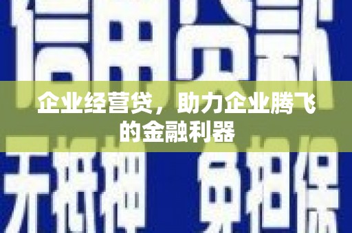 呼和浩特企业经营贷，助力企业腾飞的金融利器