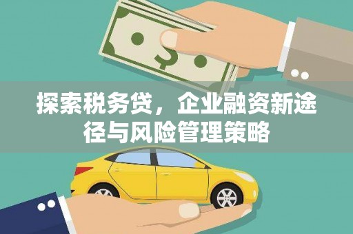 呼和浩特探索税务贷，企业融资新途径与风险管理策略