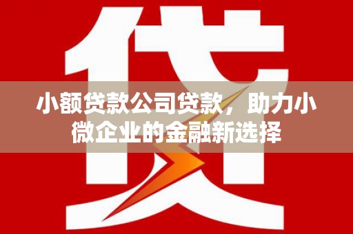 呼和浩特小额贷款公司贷款，助力小微企业的金融新选择