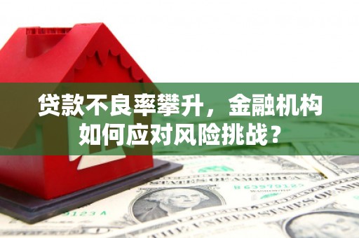 呼和浩特贷款不良率攀升，金融机构如何应对风险挑战？