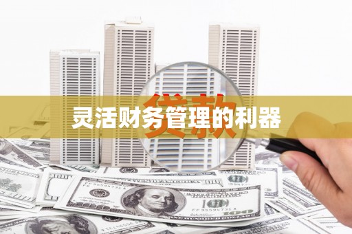 呼和浩特灵活财务管理的利器