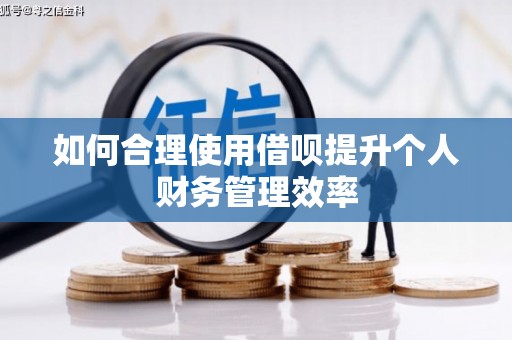 呼和浩特如何合理使用借呗提升个人财务管理效率