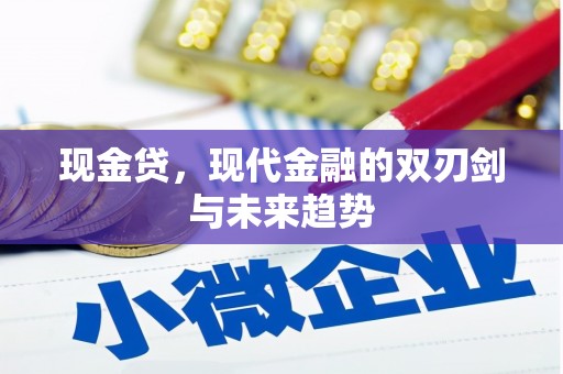 呼和浩特现金贷，现代金融的双刃剑与未来趋势
