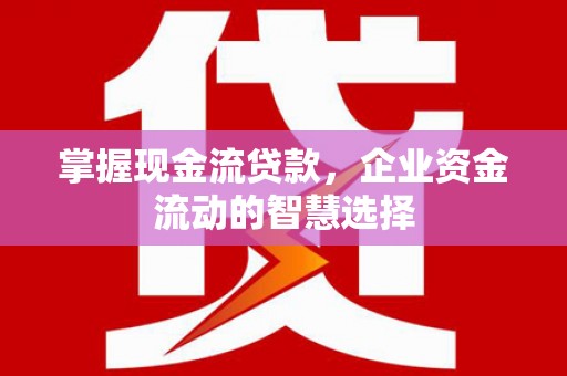 呼和浩特掌握现金流贷款，企业资金流动的智慧选择