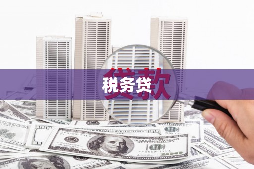 呼和浩特税务贷