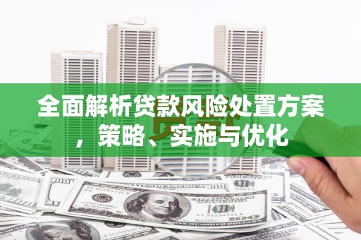 呼和浩特全面解析贷款风险处置方案，策略、实施与优化