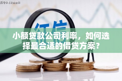 呼和浩特小额贷款公司利率，如何选择最合适的借贷方案？