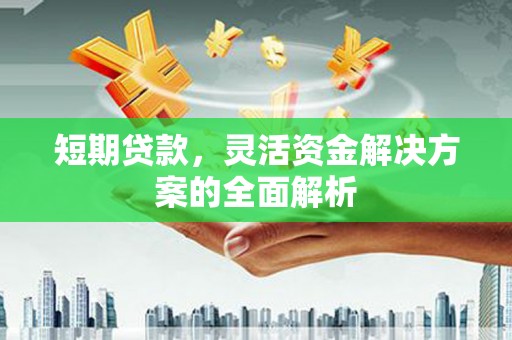 呼和浩特短期贷款，灵活资金解决方案的全面解析