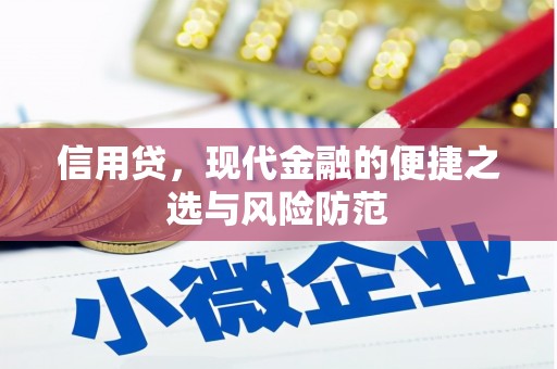 呼和浩特信用贷，现代金融的便捷之选与风险防范