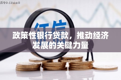 呼和浩特政策性银行贷款，推动经济发展的关键力量