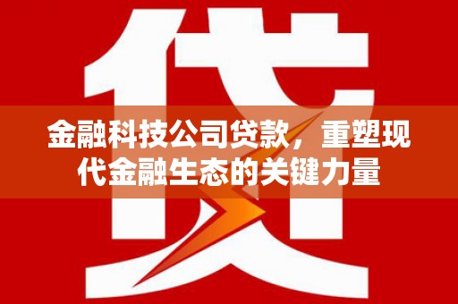 呼和浩特金融科技公司贷款，重塑现代金融生态的关键力量