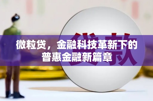 呼和浩特微粒贷，金融科技革新下的普惠金融新篇章
