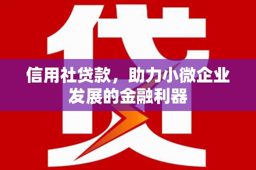 呼和浩特信用社贷款，助力小微企业发展的金融利器