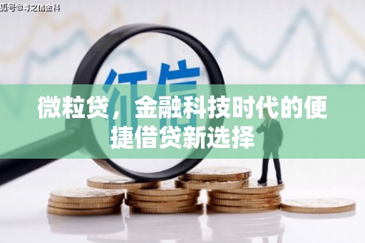 呼和浩特微粒贷，金融科技时代的便捷借贷新选择