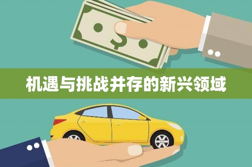 呼和浩特机遇与挑战并存的新兴领域